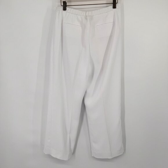 Pendleton Womens White Polyester Dress Pants lined  Size 10 short ankle - Picture 5 of 11